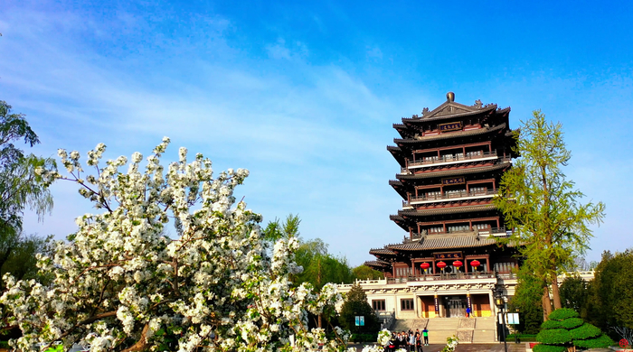 泉水欢歌 花海如潮 人间四月天感受最美济南春色