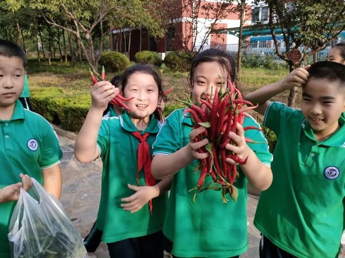 辣酱是这样诞生的！商河县滨河实验学校推体验式劳动教育