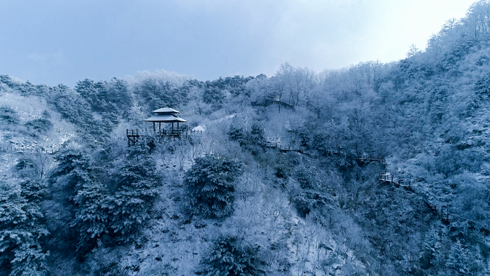 情人节，济南九如山现雾凇奇观，这洁白像极了爱情