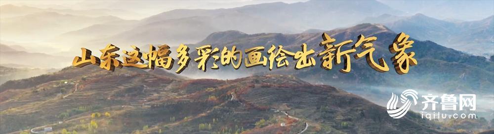 科技赋能产业，创新引领未来！十分钟认识新山东