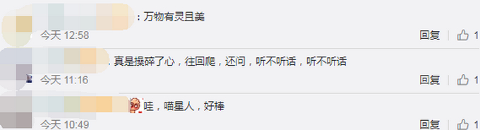 喵星人飞扑救下小主人！网友以为宝宝被咬，结果下一秒感动不已