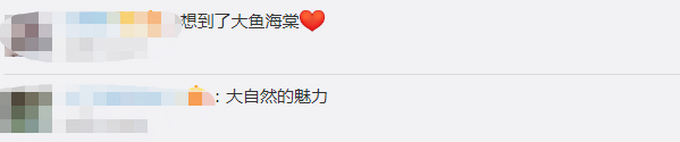 【奇景】黑龙江黑河上空现拱桥云 网友：这是南天门出现了吗？