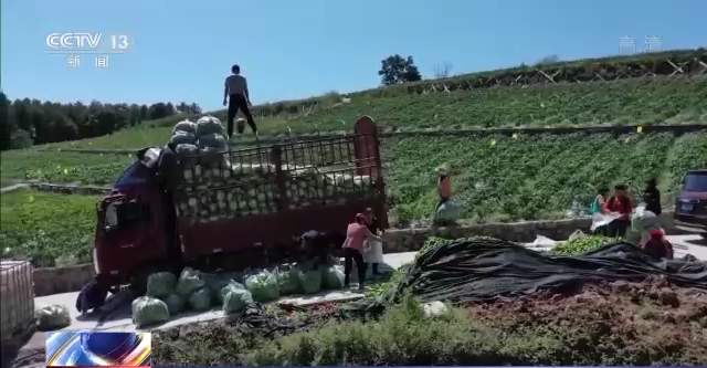 权威解读丨全面落实乡村振兴责任 确保乡村振兴重点任务落到实处