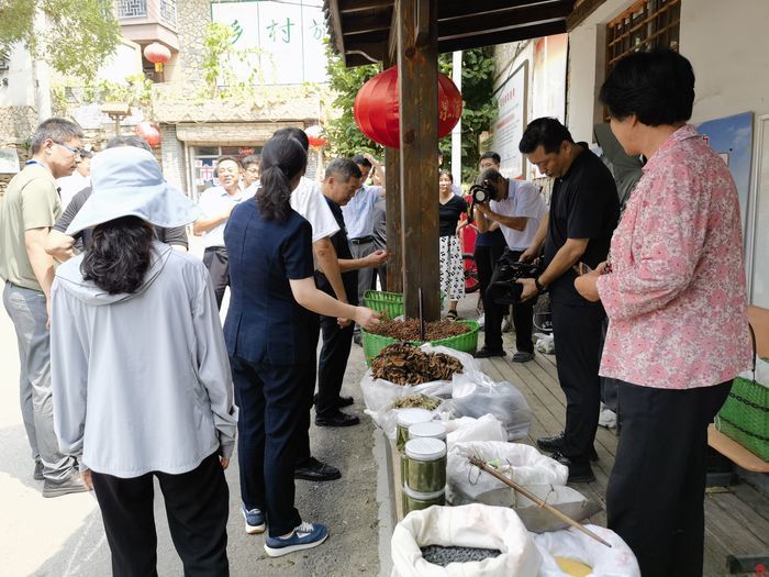 从1.0到4.0 乡村旅游如何更快提质升级？——市政协开展现场商量