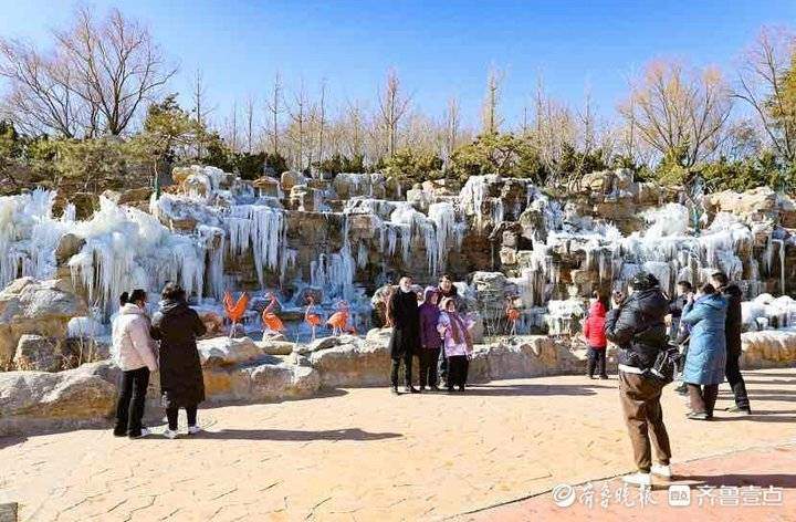 “春节档”刺激旅游业回暖，近30万人打卡济南野生动物世界