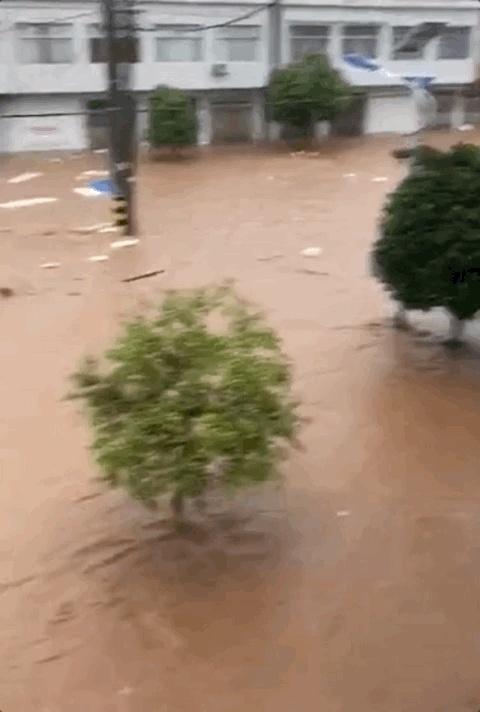 湖北多地遭遇特大暴雨！应急响应升级