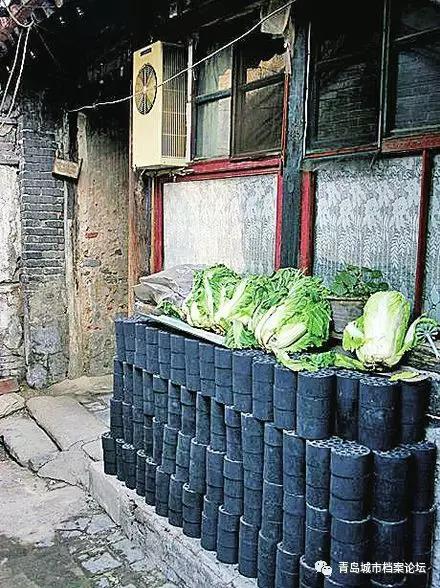 老青岛的冬储大白菜，一个时代的难忘记忆！