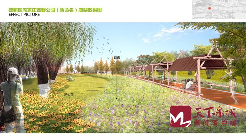 济南黄河淤背区防护林建设开工 6处郊野公园建设4月下旬开工