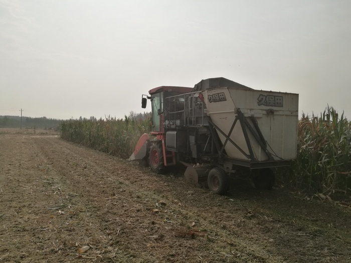 济南有序开展“三秋”农机化生产 409.7万亩秋粮已收获近四成