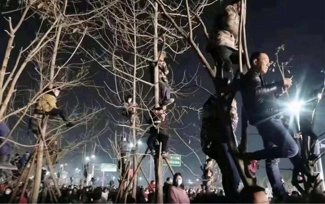 观众为了看潘长江演出爬上树 活动现场人山人海