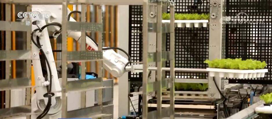 突破制约 数字技术与传统农业碰撞出“最优解”