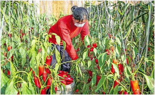 “防”疫情“攻”生产的山东担当丨大众日报一周图片精选