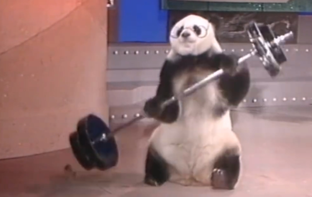 精通十八般武艺！早期春晚的大熊猫表演被扒出