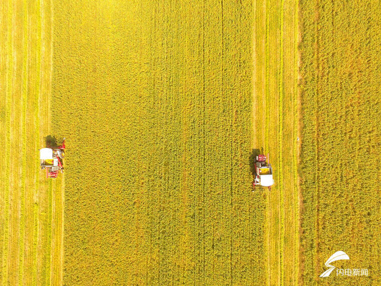 今年“三农”工作怎么干？山东省委农村工作会议11个关键词定调