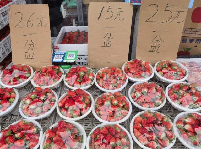 实探济南草莓产地：大丰收！价格低于往年 “能实现草莓自由了”