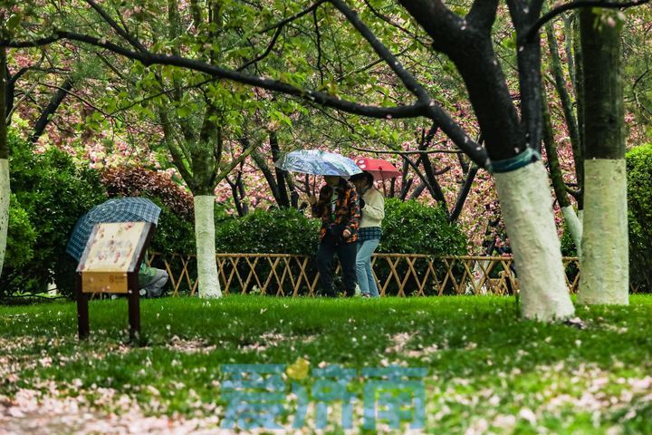 斜风细雨 水泛涟漪 雨中的五龙潭如诗如画