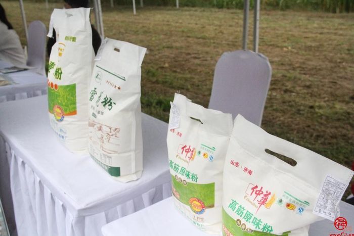 庆丰收 促和美 天桥区举行庆祝中国农民丰收节活动