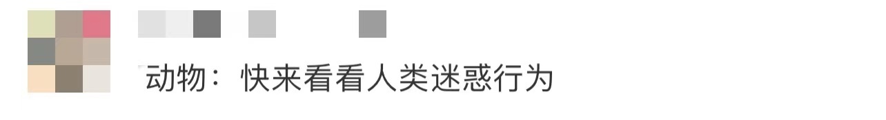 动物专家:动物园不该搞伪科学,北京野生动物园曝光“跨物种”丢人事件