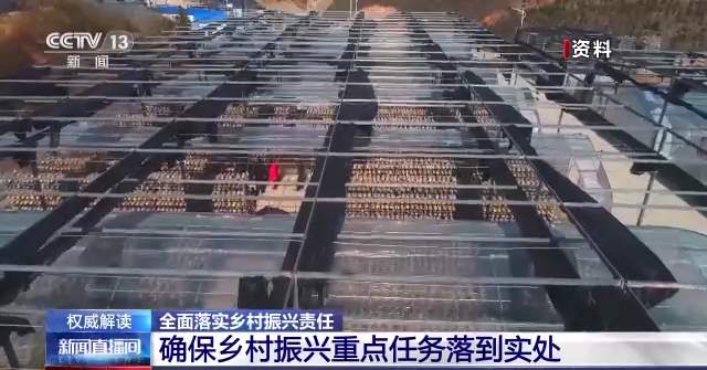 权威解读丨全面落实乡村振兴责任 确保乡村振兴重点任务落到实处