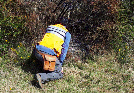 神秘太空火球坠落智利引发大火 地质专家：不是流星雨 正在调查