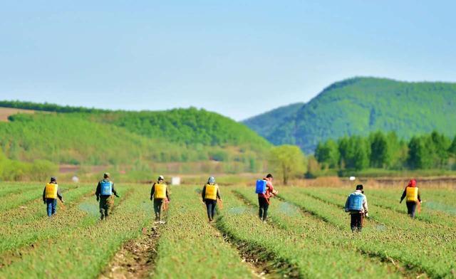 内蒙古呼伦贝尔市：凝聚力量 奋力打赢脱贫攻坚收官之战