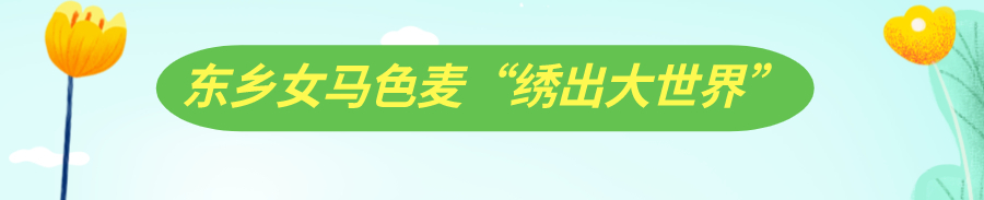 飞针走线，听她们指尖上的脱贫故事
