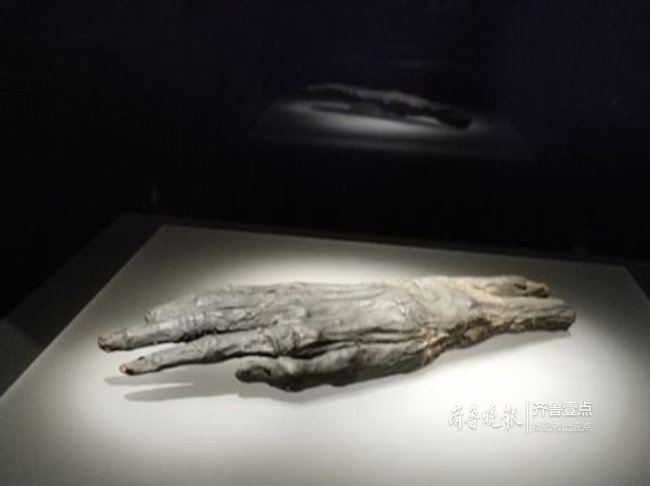 今天省博排起史上最长的队！只为一观埃及木乃伊真容