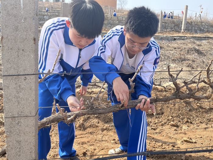 济南市技师学院智能制造学院组织开展学雷锋志愿服务活动