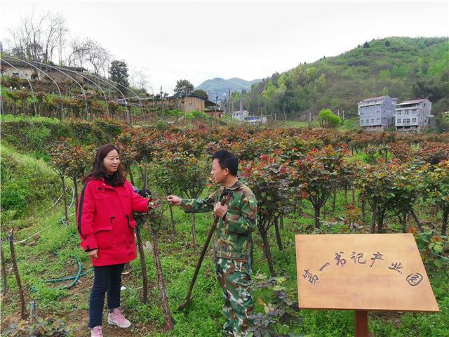 在脱贫攻坚主战场练兵选人