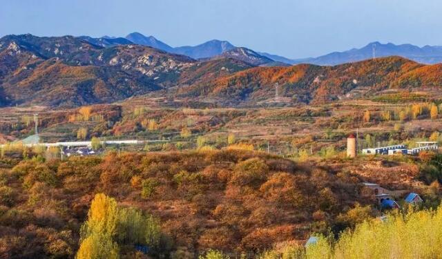 这就是山东丨初冬的日照，竟然也美得不像话……