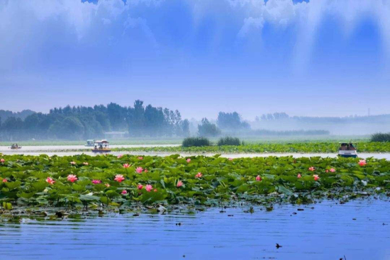 济南新名片！白云湖湿地亮相央视《共和国发展成就巡礼》