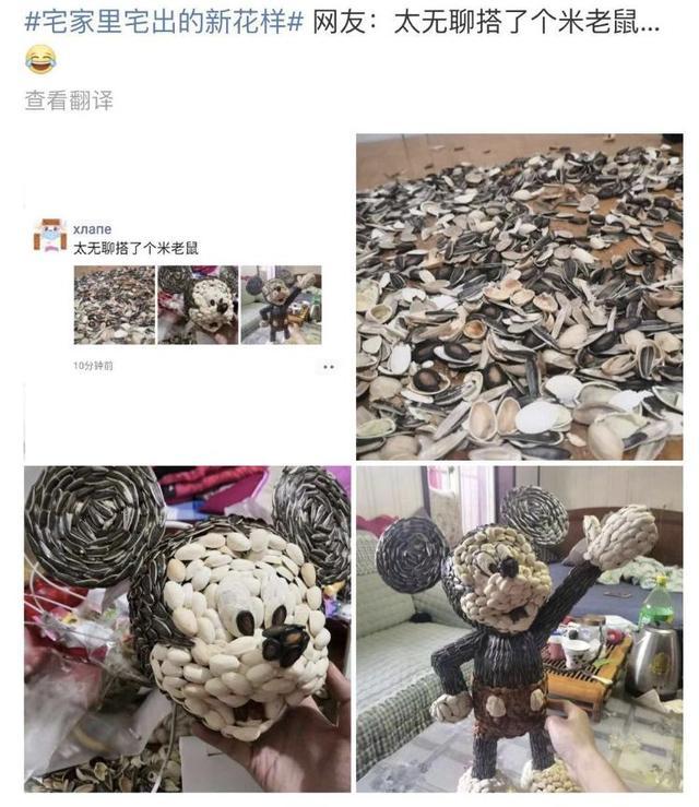 春节不能出门把全国网友憋成啥样？给猫讲函数，为橘子接生