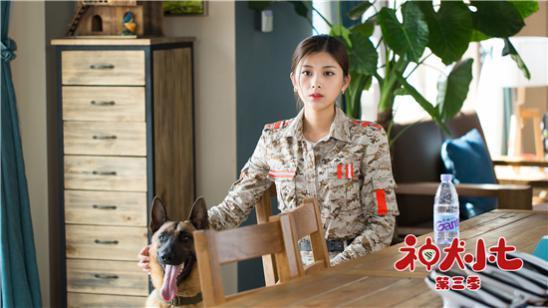 《神犬小七3》开播 王祉萱反差出演温婉女兽医