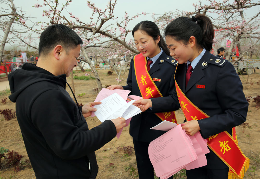 便民办税春风暖 桃花节里税宣忙