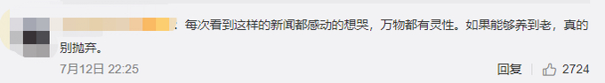 像家人一样!年迈骆驼被卖后独行100公里回家浑身伤痕,网友:万物都有灵性