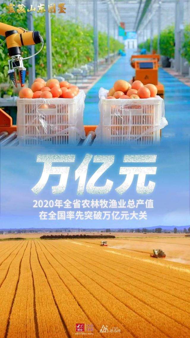 未来可期，看山东多维度的定性定量分析