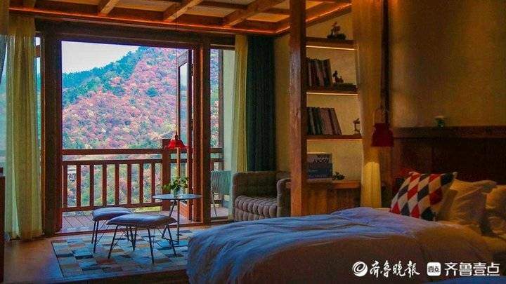 秋风霜染，济南南部山区红叶林快要红透了