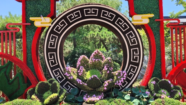 荷花盛开 玫好自来！济南第37届荷花艺术节开幕