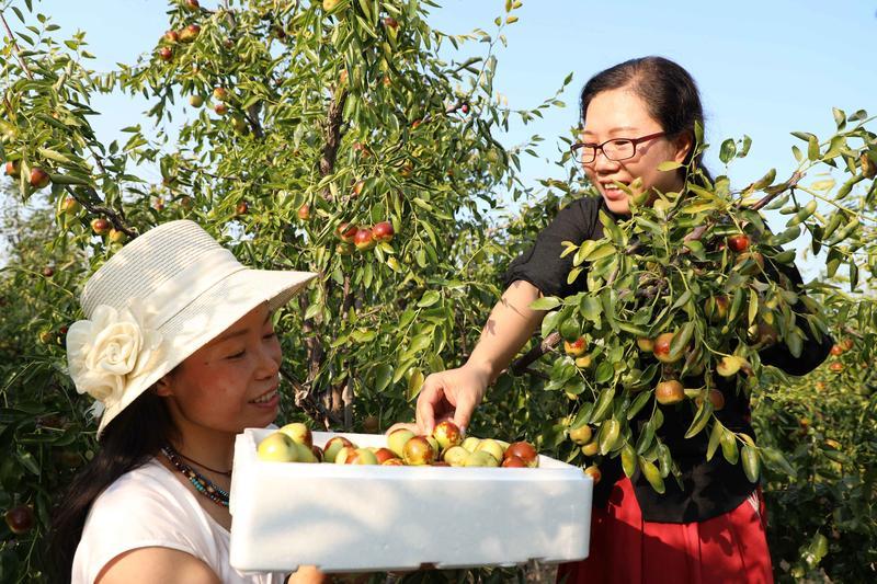 新华社镜头下的济南国庆假期：趵突泉景区游人如织