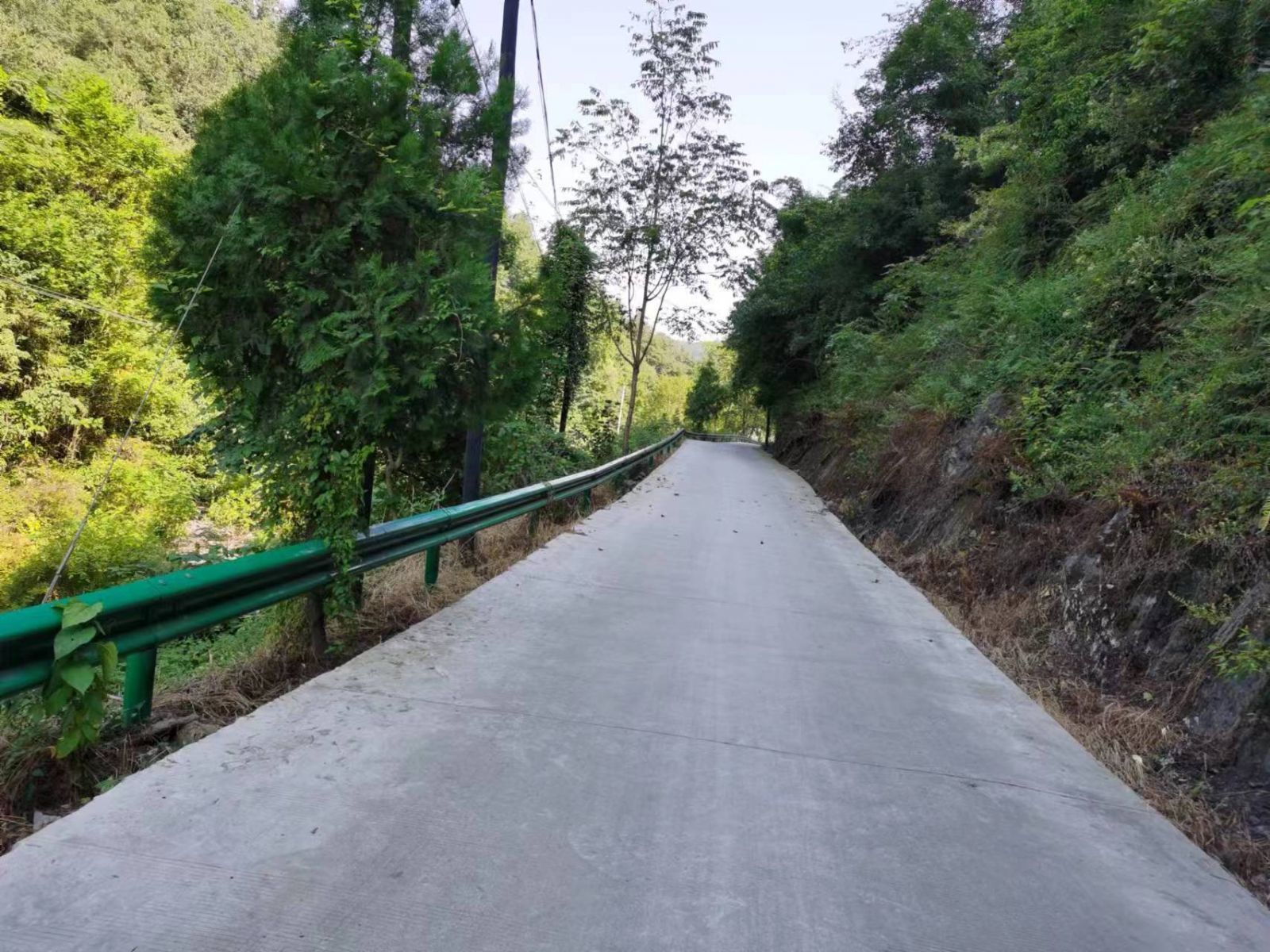 陕西女子举报污染获刑后改判无罪，申请242万元国赔获受理：要追责、要清白