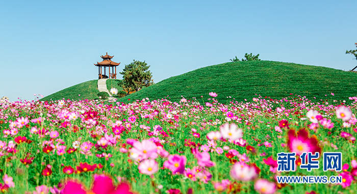 乡味｜山东商河：“温泉花卉”盛开“美丽经济”