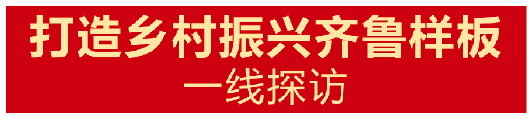 打造乡村振兴齐鲁样板丨莱西农村“领头雁”迈向全域专业化