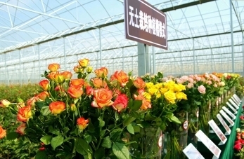 中秋望文博 浓浓“家”文化