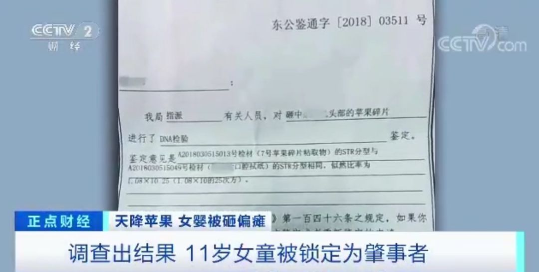 11岁女童24楼扔下苹果，砸中女婴致十级伤残！谁来赔？