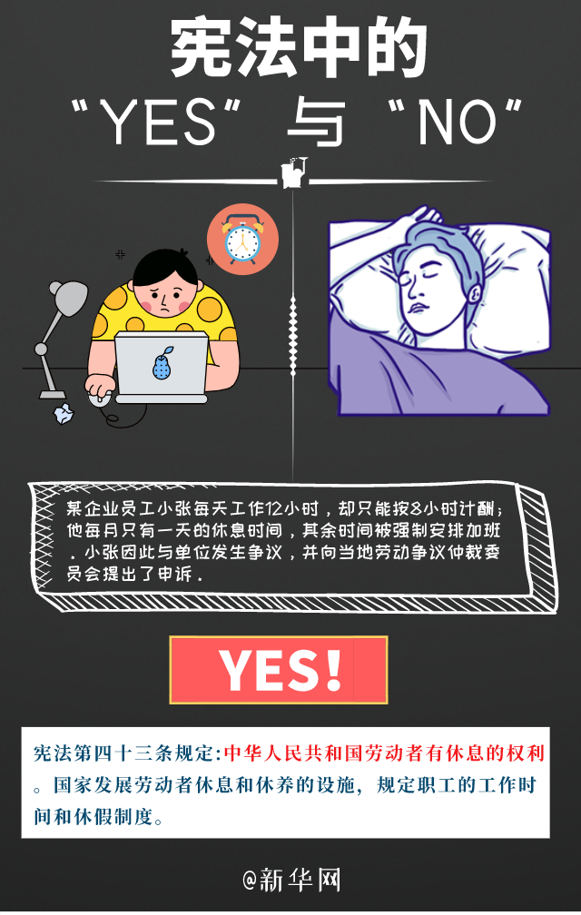 法治课代表