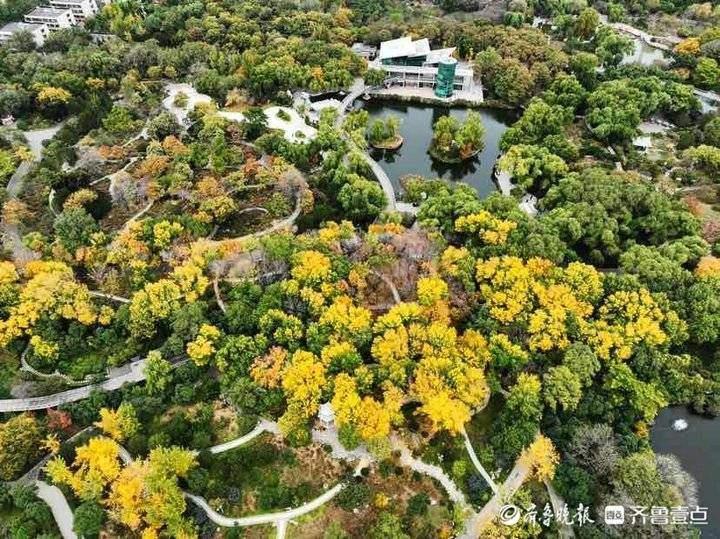 深秋时节泉城公园，色彩斑斓