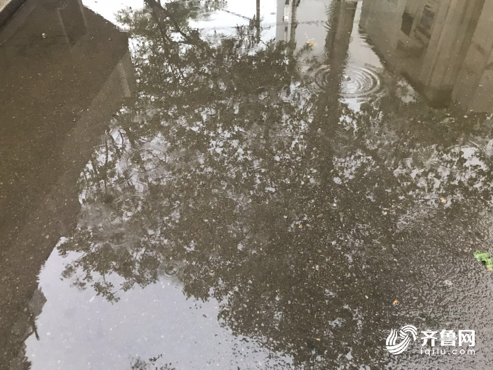 山东已有42个县市区出现大风降雨 德州降水量最大