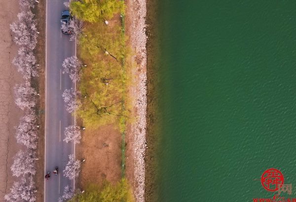 描绘黄河生态新画卷① ｜ 滔滔黄河水 润泽一座城