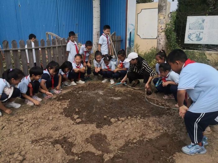 商河县第二实验小学开启亲子劳动实践