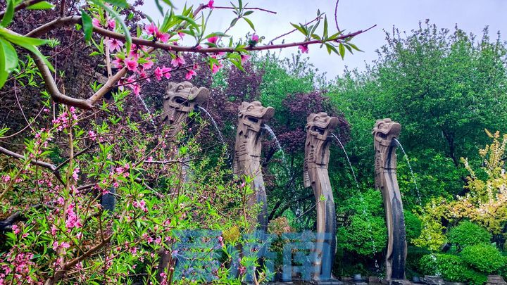 斜风细雨 水泛涟漪 雨中的五龙潭如诗如画